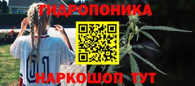 бошки Дубна
