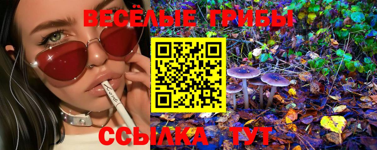 Галлюциногенные грибы прущие грибы Новокубанск