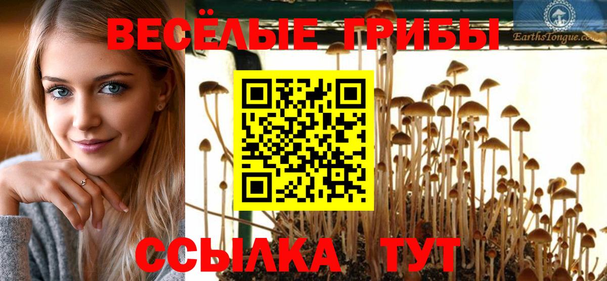 Псилоцибиновые грибы мухоморы  Вход с VPN  Новокубанск 